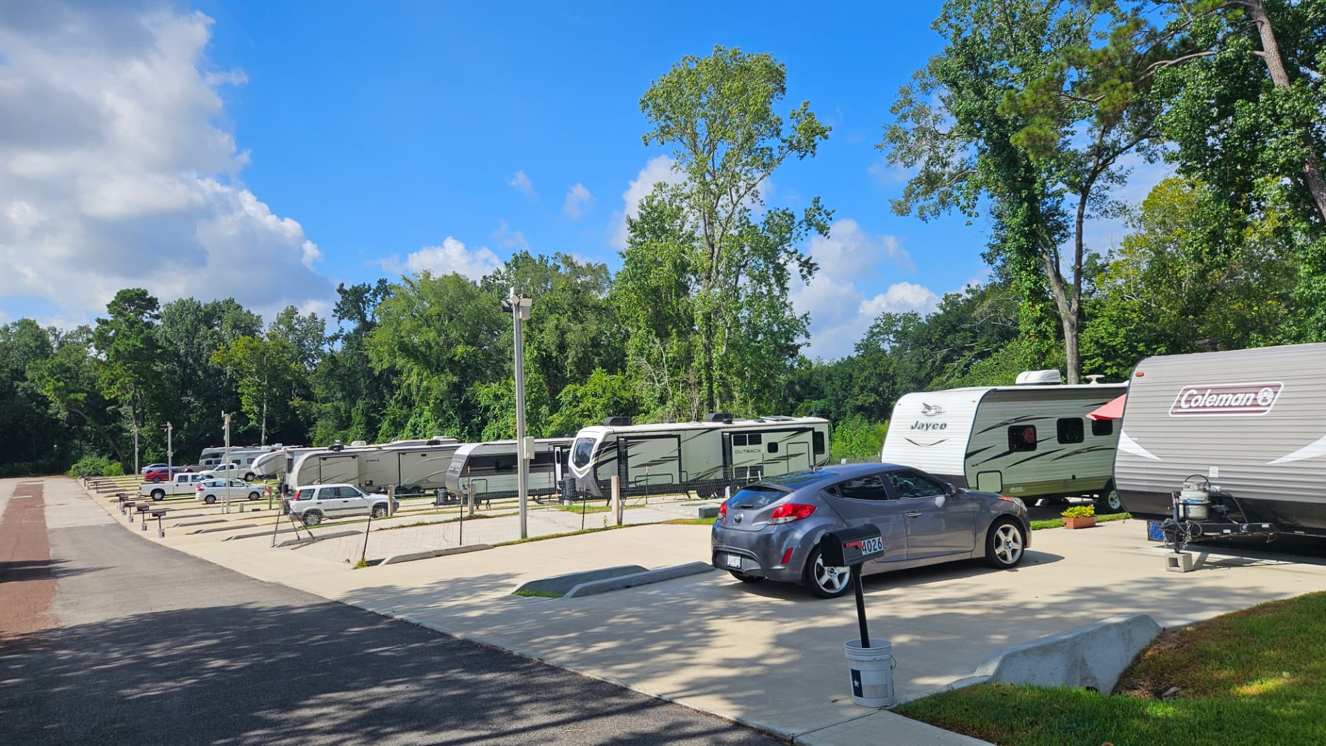 Row of RVs on level concrete pads bordered by tall green trees