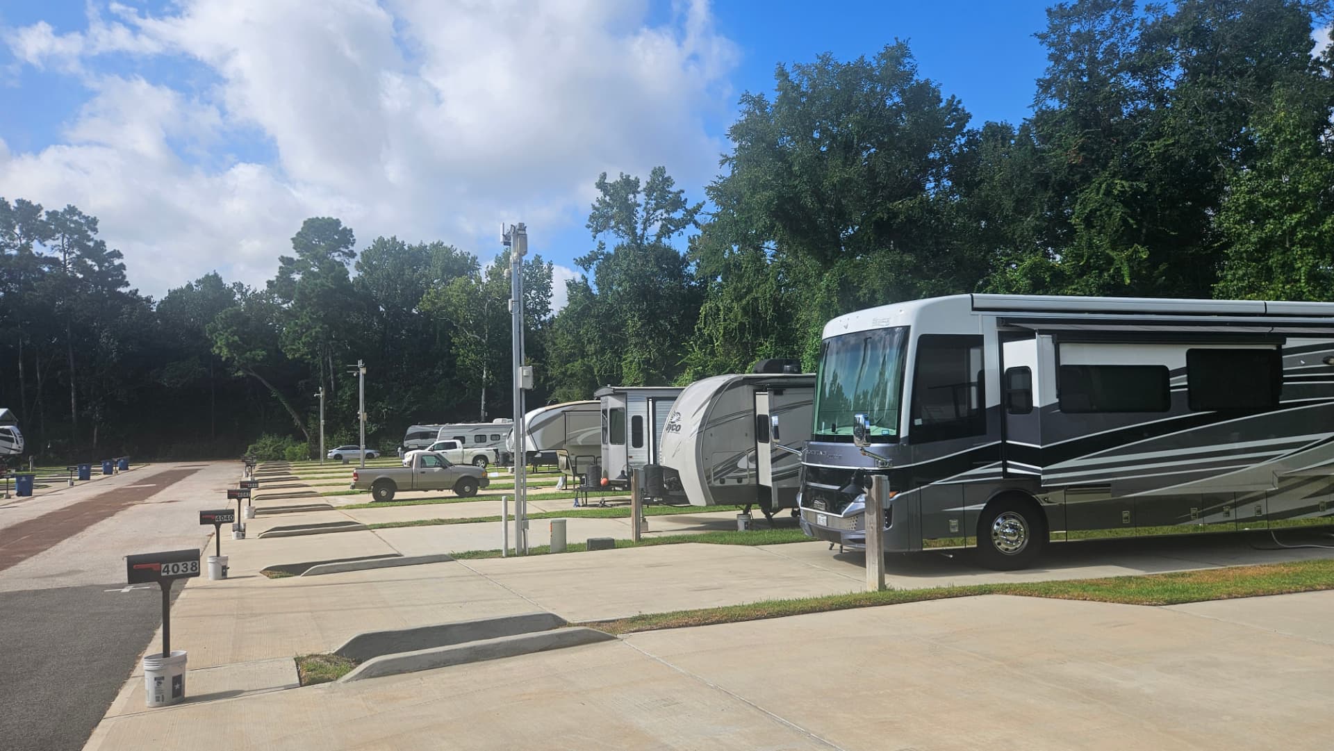 Wide view of RV sites and paved road at The Woodland RV Park