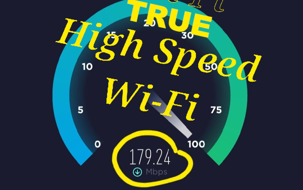 Park-Wide High-Speed Fiber Wi-Fi